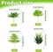 Fake Succulent Plants, 6pcs Mini Green Succulent Plants Faux, Artificial Succulents Plants for DIY Crafting Home Floral Wall Office Decoration (excluding pots)